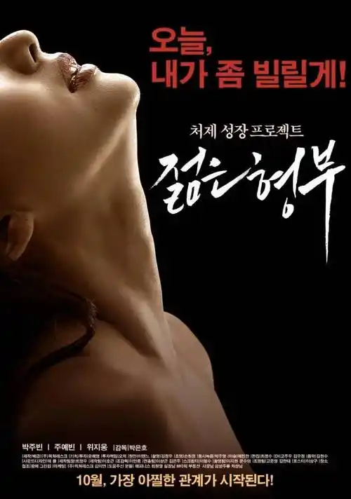 剧集潮汐之城封面